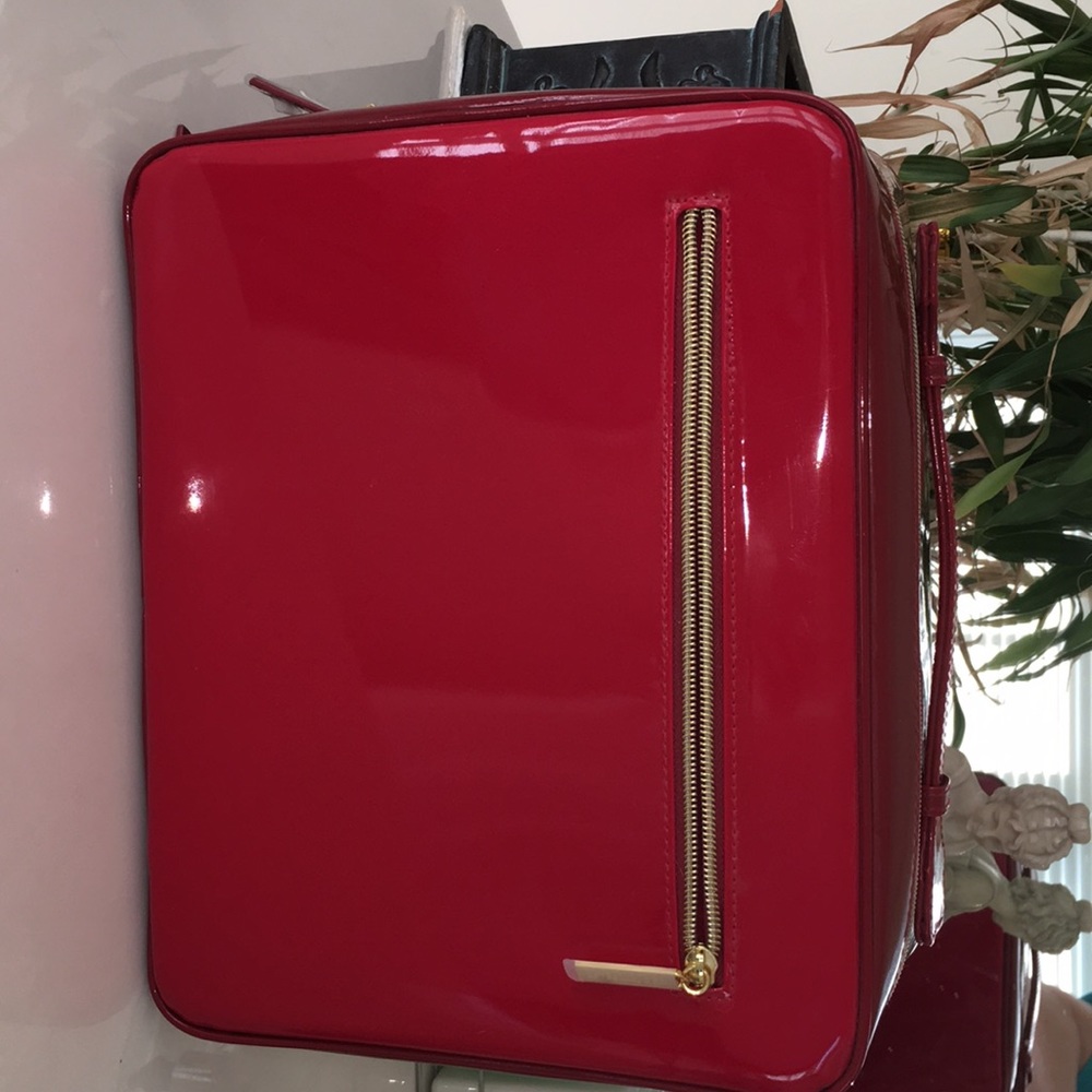Ester Lauder travel case w extras